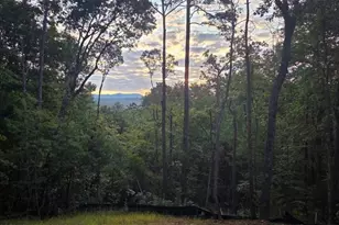 110 Red Oak Trl, Ellijay, GA 30540 - Photo 83