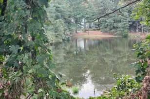 1512 Rogers Preserve Rd, Lithonia, GA 30058 - Photo 11