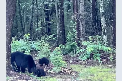 1240 Emery Creek Road, Chatsworth, GA 30705 - Photo 37