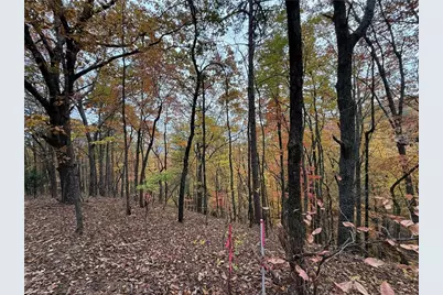 355 Orieole Court, Ranger, GA 30734 - Photo 1