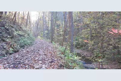 232 Andes Ridge, Ellijay, GA 30540 - Photo 3