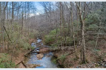 232 Andes Ridge, Ellijay, GA 30540 - Photo 15