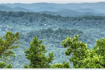 472 Overlook Drive, Blue Ridge, GA 30513 - Photo 53