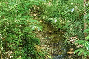 510 Forest Valley Rd, Sandy Springs, GA 30342 - Photo 41