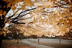 81 Clay St SE, Atlanta, GA 30317 - Photo 47