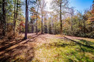 16 Garrett Ave, Bremen, GA 30110 - Photo 87