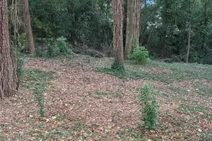 2485 Ortega Way, Chamblee, GA 30341 - Photo 25