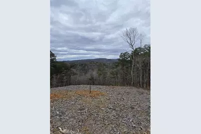 0 Canoe Way, Talking Rock, GA 30175 - Photo 17