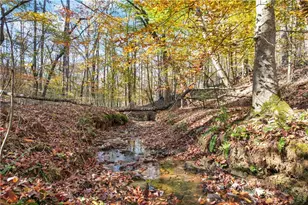 265 Green School Rd, Jasper, GA 30143 - Photo 47