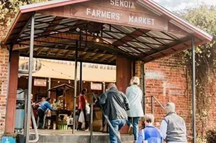 73 Bourbon St, Senoia, GA 30276 - Photo 35