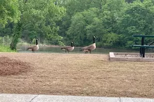 1107 Lucan Ln, Lawrenceville, GA 30043 - Photo 21