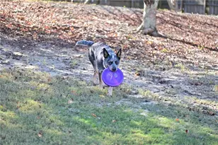 5730 Boulder Ridge Ct, Flowery Branch, GA 30542 - Photo 47