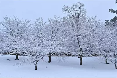 5730 Boulder Ridge Court, Flowery Branch, GA 30542 - Photo 49