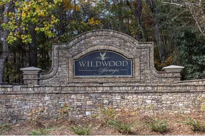 105 Beech Tree Lane, Roswell, GA 30075 - Photo 43