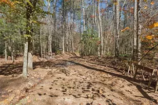 491 Old Parker Terrace, Ellijay, GA 30536 - Photo 39
