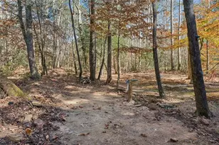 491 Old Parker Terrace, Ellijay, GA 30536 - Photo 37