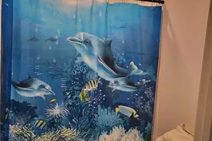 254 Hamilton Pointe Dr, McDonough, GA 30253 - Photo 21