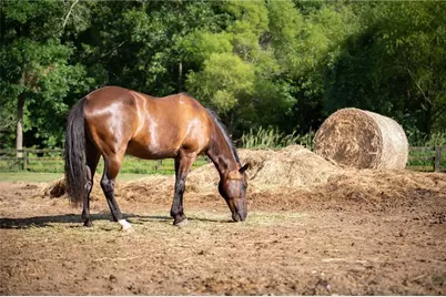 233 Lask Lane, Milton, GA 30004 - Photo 33