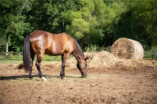 233 Lask Ln, Milton, GA 30004 - Photo 33