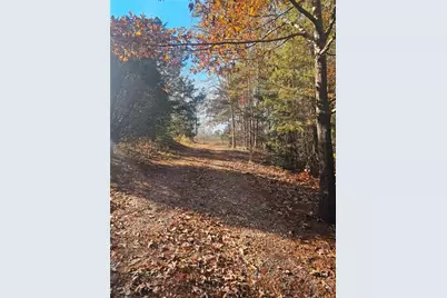 780 Blacks Mill Road, Dawsonville, GA 30534 - Photo 3