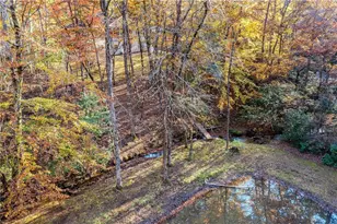 339 Wehunt Rd, Blue Ridge, GA 30513 - Photo 77