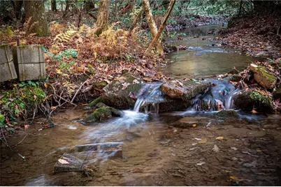 339 Wehunt Road, Blue Ridge, GA 30513 - Photo 61