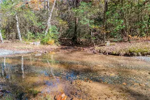 339 Wehunt Rd, Blue Ridge, GA 30513 - Photo 71