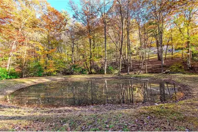 339 Wehunt Road, Blue Ridge, GA 30513 - Photo 41