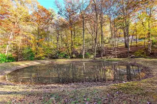 339 Wehunt Rd, Blue Ridge, GA 30513 - Photo 41