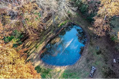 339 Wehunt Road, Blue Ridge, GA 30513 - Photo 9