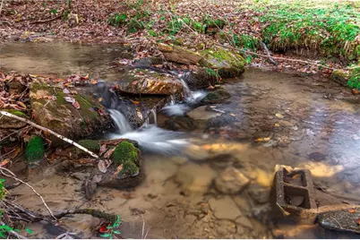 339 Wehunt Road, Blue Ridge, GA 30513 - Photo 73