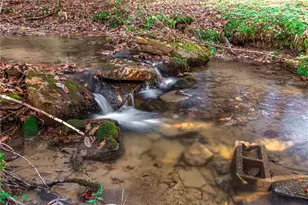 339 Wehunt Rd, Blue Ridge, GA 30513 - Photo 73