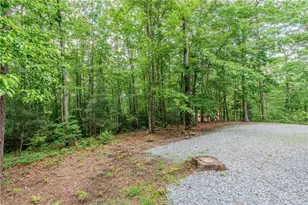 48 Timber Ridge Rd, Blue Ridge, GA 30513 - Photo 53