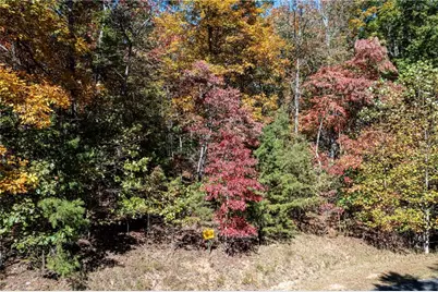 Lot 22 Meadow Brook Trail, Morganton, GA 30560 - Photo 5