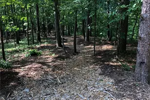 121 West Wind Court, Jasper, GA 30143 - Photo 71