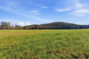 3740 Hwy 48, Summerville, GA 30747 - Photo 69