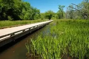 3207 Thompson Mill Rd, Buford, GA 30519 - Photo 35