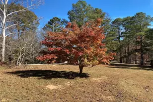 3993 Pool Rd, Winston, GA 30187 - Photo 51