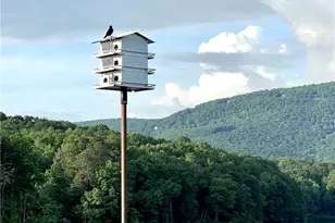 228 Sleepy Hollow Cir, Jasper, GA 30143 - Photo 41