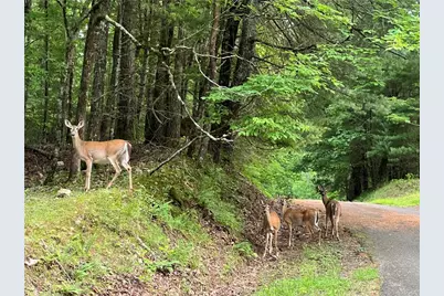 228 Sleepy Hollow Circle, Jasper, GA 30143 - Photo 45