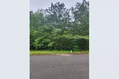 179 Ashley Trace Drive, Locust Grove, GA 30248 - Photo 3