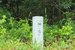 179 Ashley Trace Dr, Locust Grove, GA 30248 - Photo 1