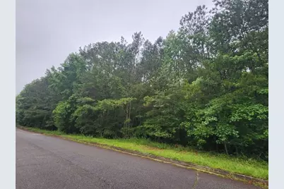 179 Ashley Trace Drive, Locust Grove, GA 30248 - Photo 5