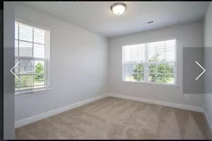 228 Thunder Valley, Dawsonville, GA 30534 - Photo 17