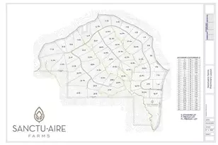 2701 Conns Creek, Ball Ground, GA 30107 - Photo 15