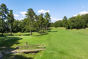 338 Belmont Dr, Cartersville, GA 30120 - Photo 53