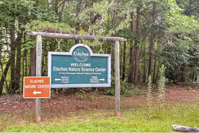 9150 Greenway Court, Gainesville, GA 30506 - Photo 35