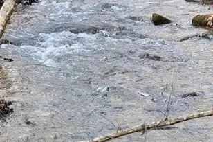 496 Beaver Dam Rd, Dahlonega, GA 30533 - Photo 25