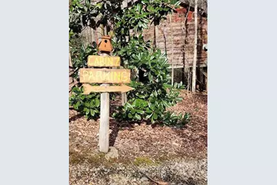 496 Beaver Dam Road, Dahlonega, GA 30533 - Photo 21