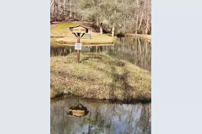 496 Beaver Dam Road, Dahlonega, GA 30533 - Photo 27